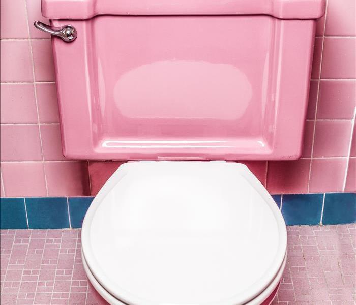 pink toilet