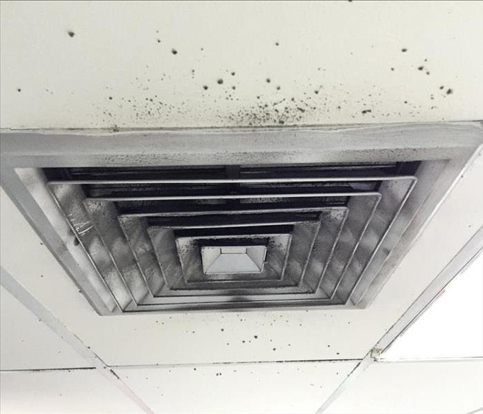 Mold growth around air duct system