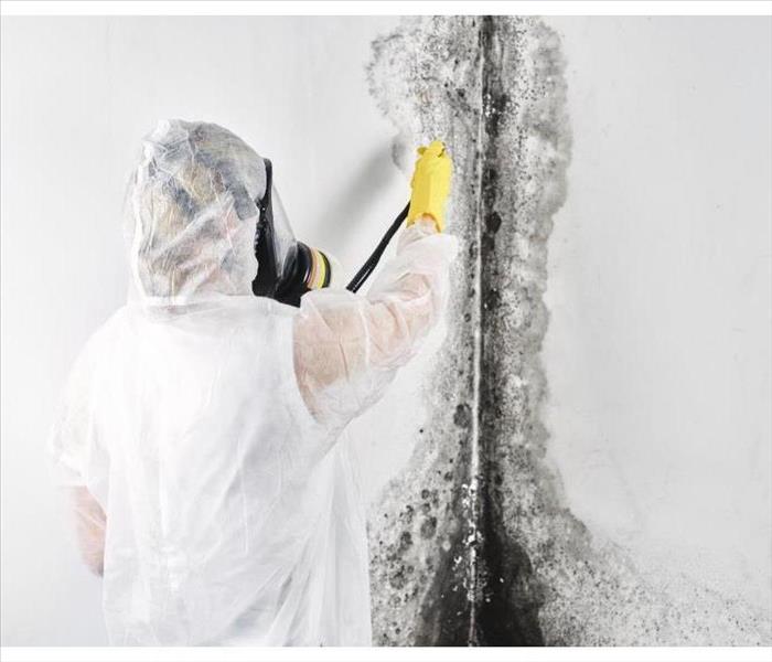 A professional disinfector in overalls processes the walls from mold. Removal of black fungus in the apartment and house. 